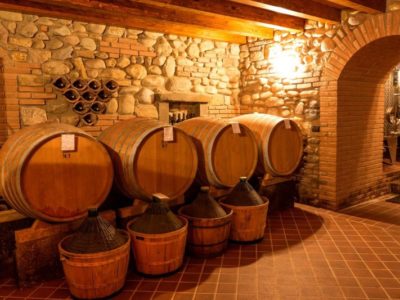 Visita alle cantine