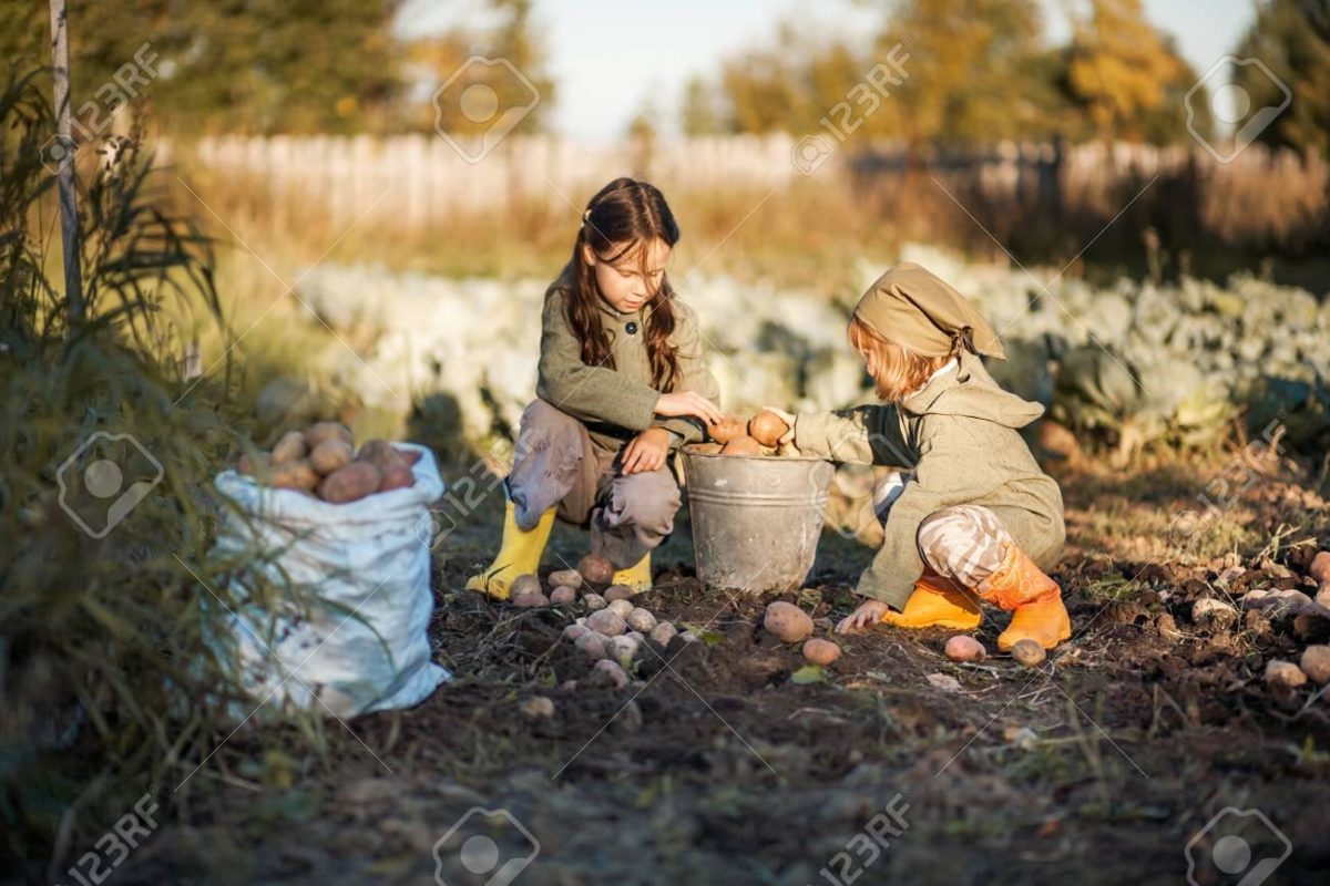 Agricoltori per un giorno/Farmers for a day