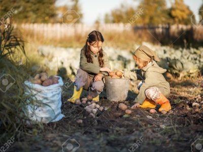 Agricoltori per un giorno/Farmers for a day