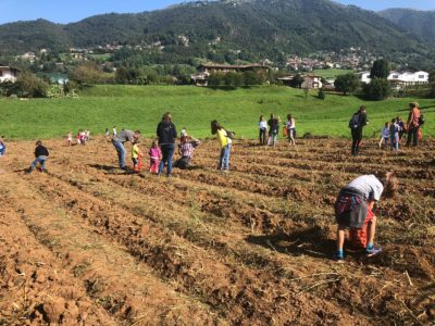 Agricoltori per un giorno/Farmers for a day